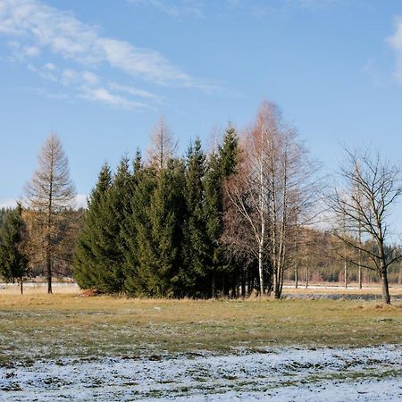Alicjowka - Domek Marciszow Eksteriør bilde